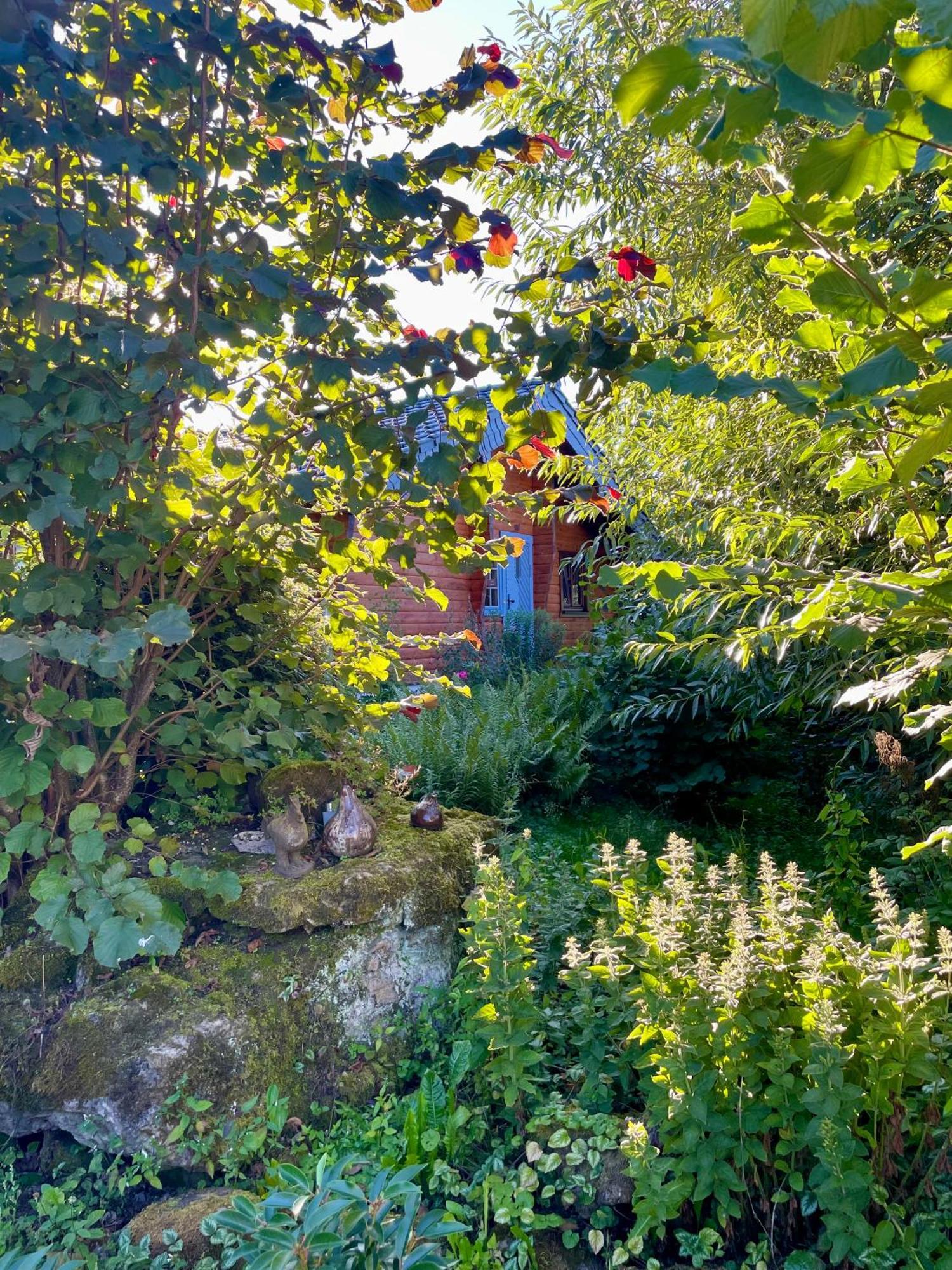 Ferienhaus Thelen Hersdorf Bagian luar foto