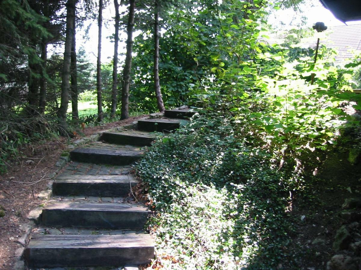 Ferienhaus Thelen Hersdorf Bagian luar foto